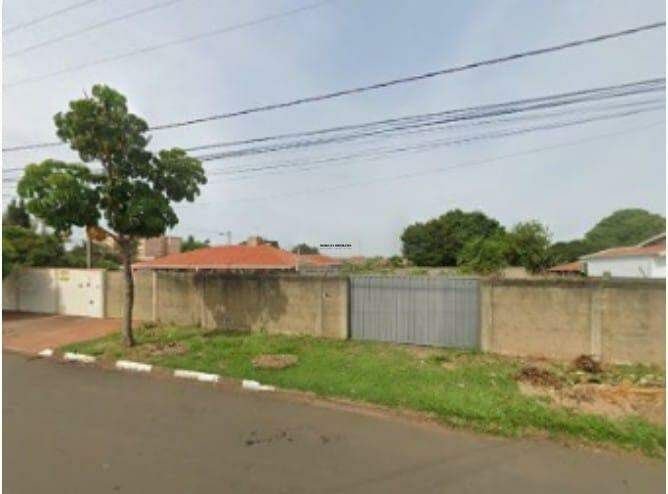 360l2g-imagem-do-whatsapp-de-2024-11-06-as-154812-10d54aca-lucia-vilela-1731601573.jpg