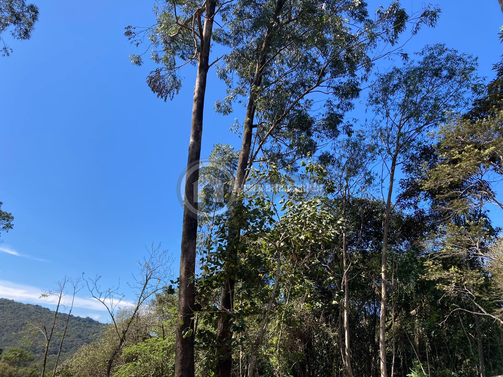 Terreno à venda com 1575m² de terreno no Serra da Cantareira, Mairiporã (SP) — foto 12 de 20