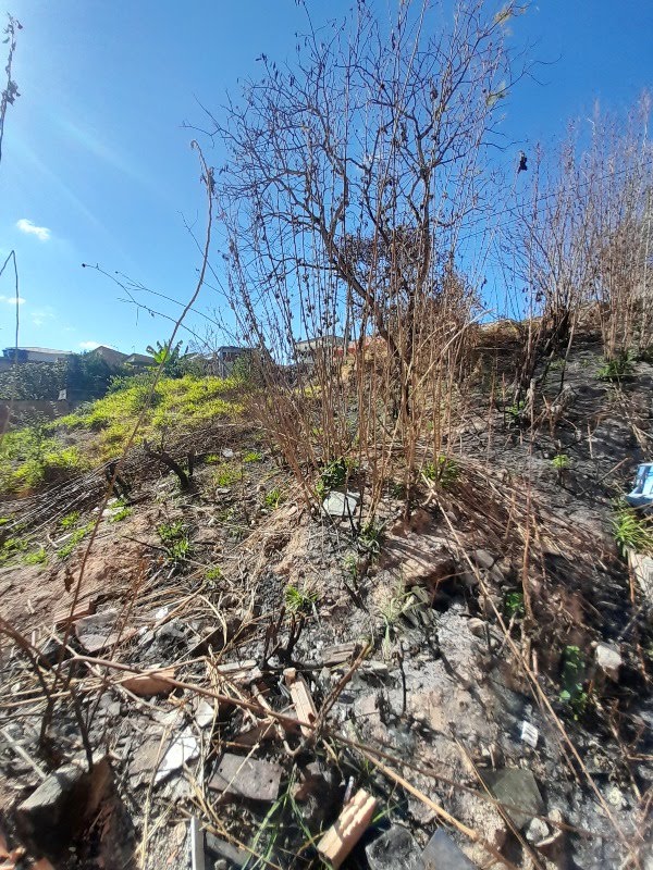 Terreno à venda com 200m² de terreno no Imperial, Santa Luzia (MG) — foto 4 de 6