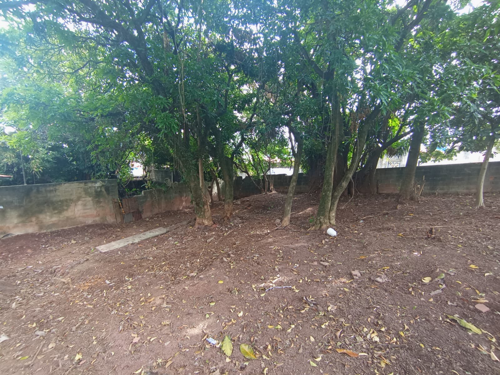 Apartamento à venda no Vila Zat, São Paulo (SP) — foto 8 de 16
