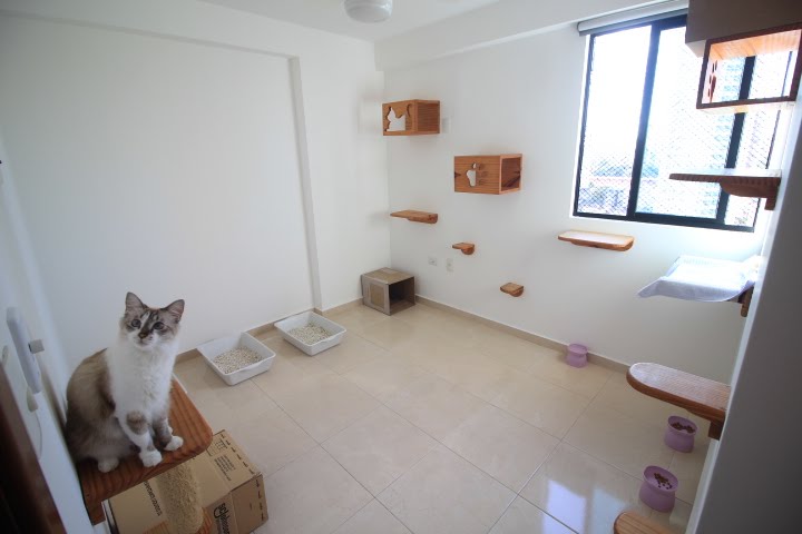 Apartamento à venda com 3 quartos, 1 suíte, 2 vagas e 80m² no Madalena, Recife (PE) — foto 18 de 25