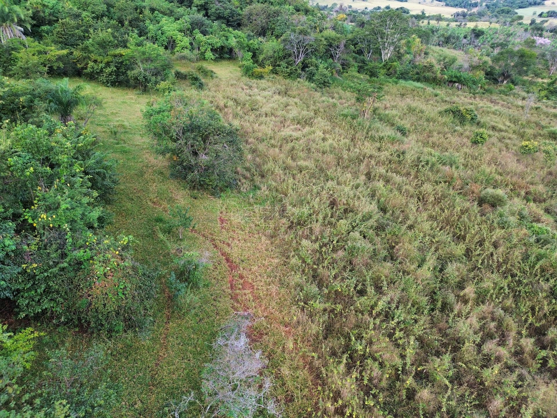 Rural à venda com 308355m² de terreno no Zona Rural de Heitoraí, Heitoraí (GO) — foto 7 de 29