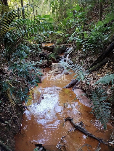 Sítio com Cachoeira Privativa em Aracê – Domingos Martins/ES por R$ 1.800.000,00