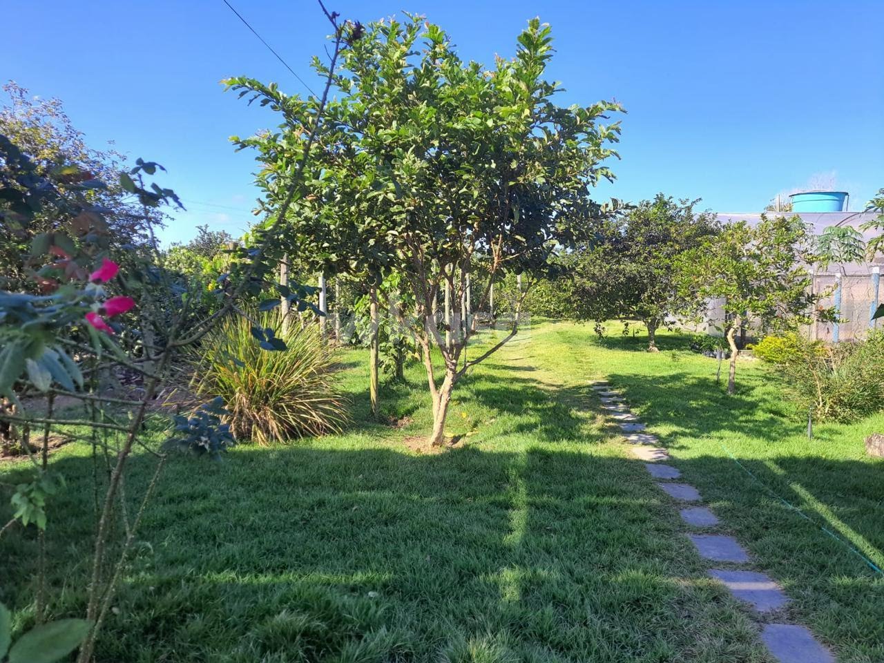 Rural à venda com 12000m² de terreno no São Rafael, Linhares (ES) — foto 2 de 15