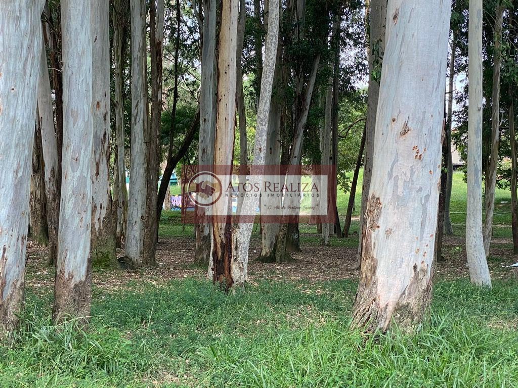 Apartamento à venda com 3 quartos, 1 banheiro, 1 vaga e 58m² no Parque das Arvores, São Paulo (SP) — foto 19 de 24