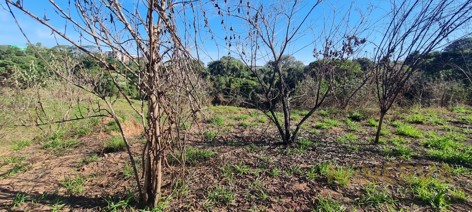 Terreno à venda no Rio Abaixo, Atibaia (SP) — foto 3 de 30