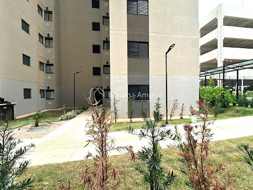 Apartamento, 3 quartos, 65 m² - Foto 13