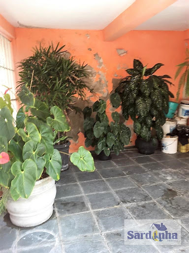 Casa à Venda na Vila Sônia SP, 342m², 2 Quartos, R$1.200.000