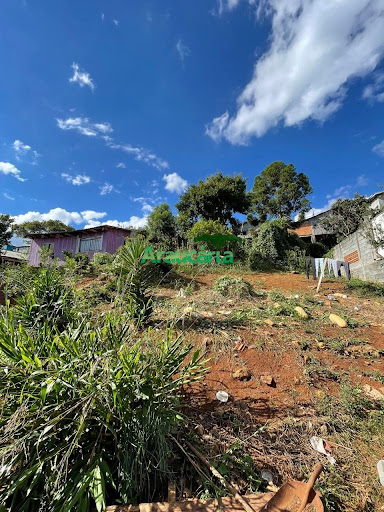 Foto 05