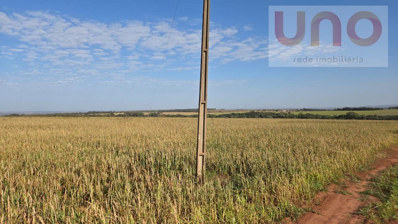 Fazenda em Distrito São Pedro  -  Bandeirantes