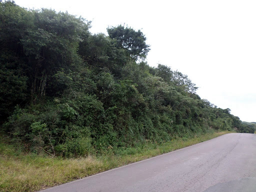 Foto 05