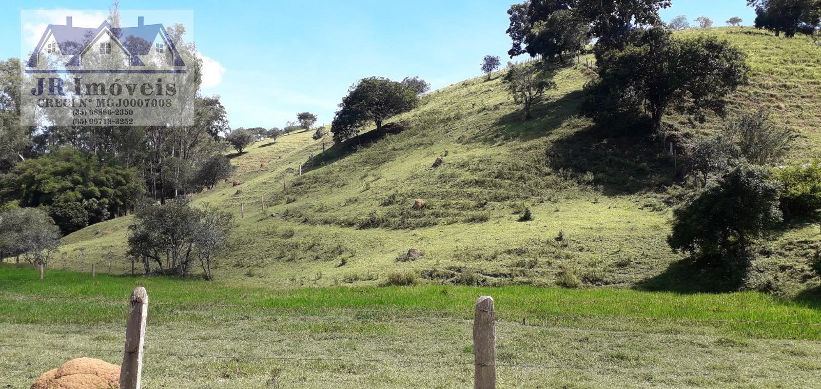 Terreno à venda com 10875m² de terreno no Teodoros, Brazópolis (MG) — foto 2 de 12