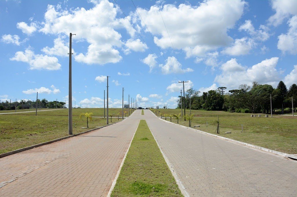 Parque das Palmeiras (3).jpg