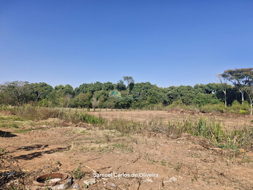 Terrenos à venda em Casa Branca SP