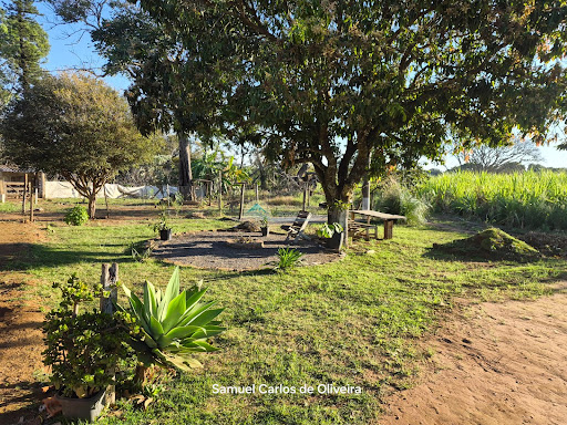 Sítio à Venda em Casa Branca/SP - Imóvel Rural
