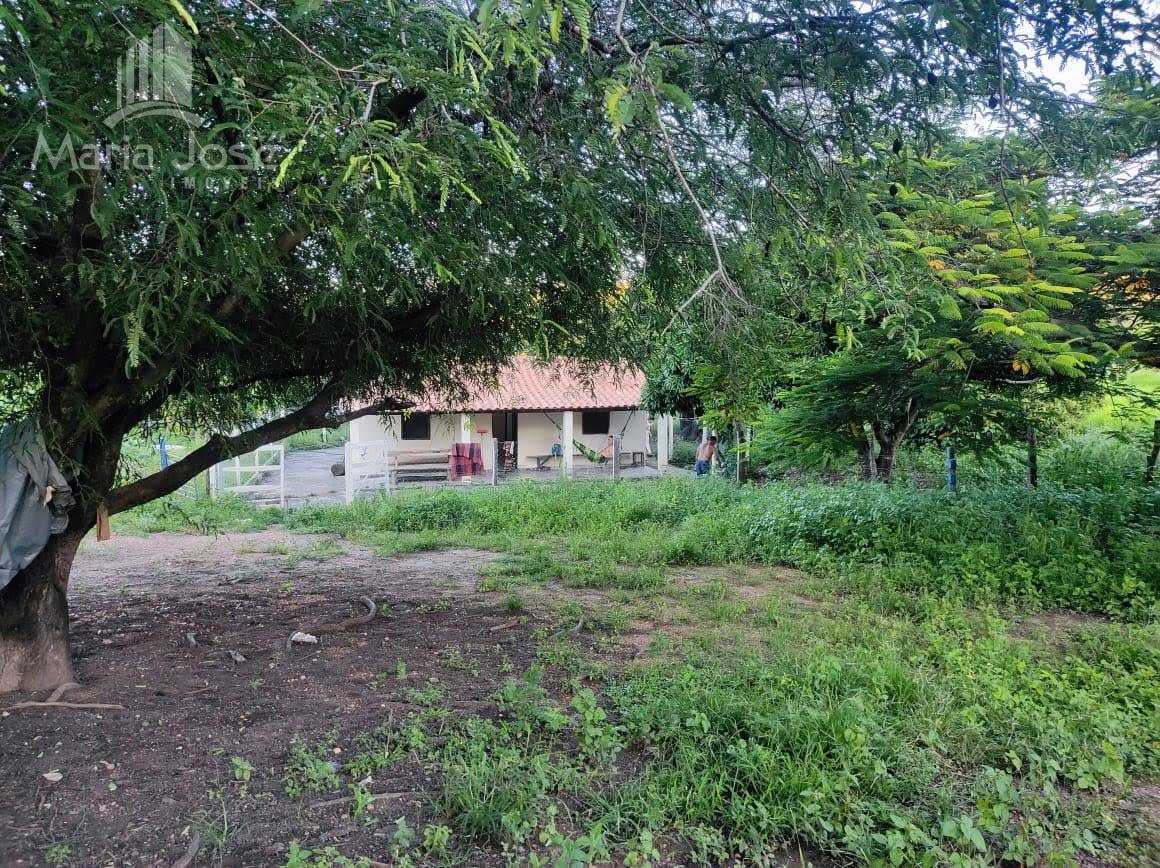 Rural à venda com 200000m² de terreno no Zona Rural de Santana do Pirapama, Santana de Pirapama (MG) — foto 9 de 24