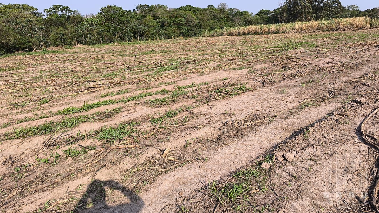 Terreno em Jardim Curitibano IV  -  Foz do Iguaçu