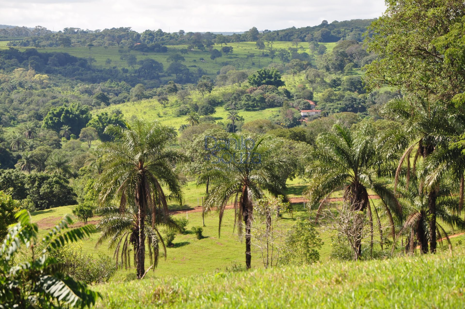 Rural à venda com 20000m² de terreno no Novo Santo Antônio, Araxá (MG) — foto 16 de 20