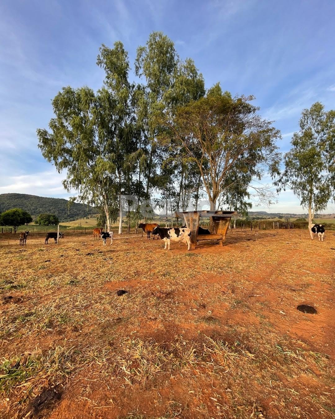 Rural à venda com 150040m² de terreno no Zona Rural de Heitoraí, Heitoraí (GO) — foto 6 de 20