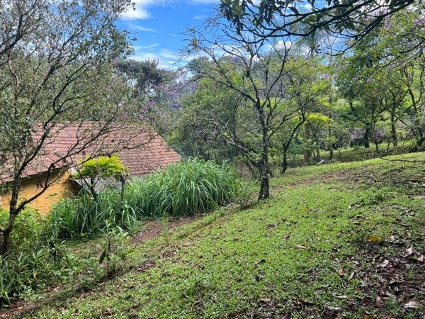 Rural à venda com 45000m² de terreno no Ratones, Florianópolis (SC) — foto 9 de 11