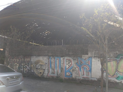 Vista frontal