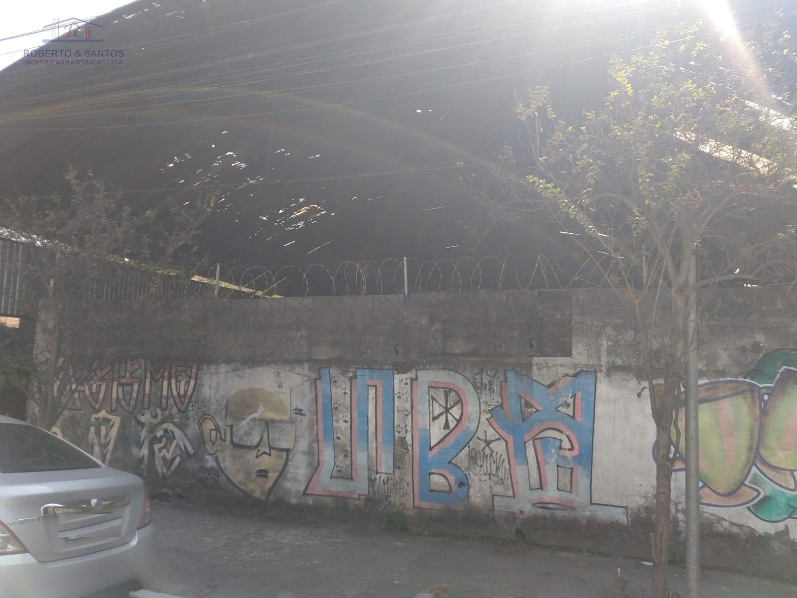 Vista frontal