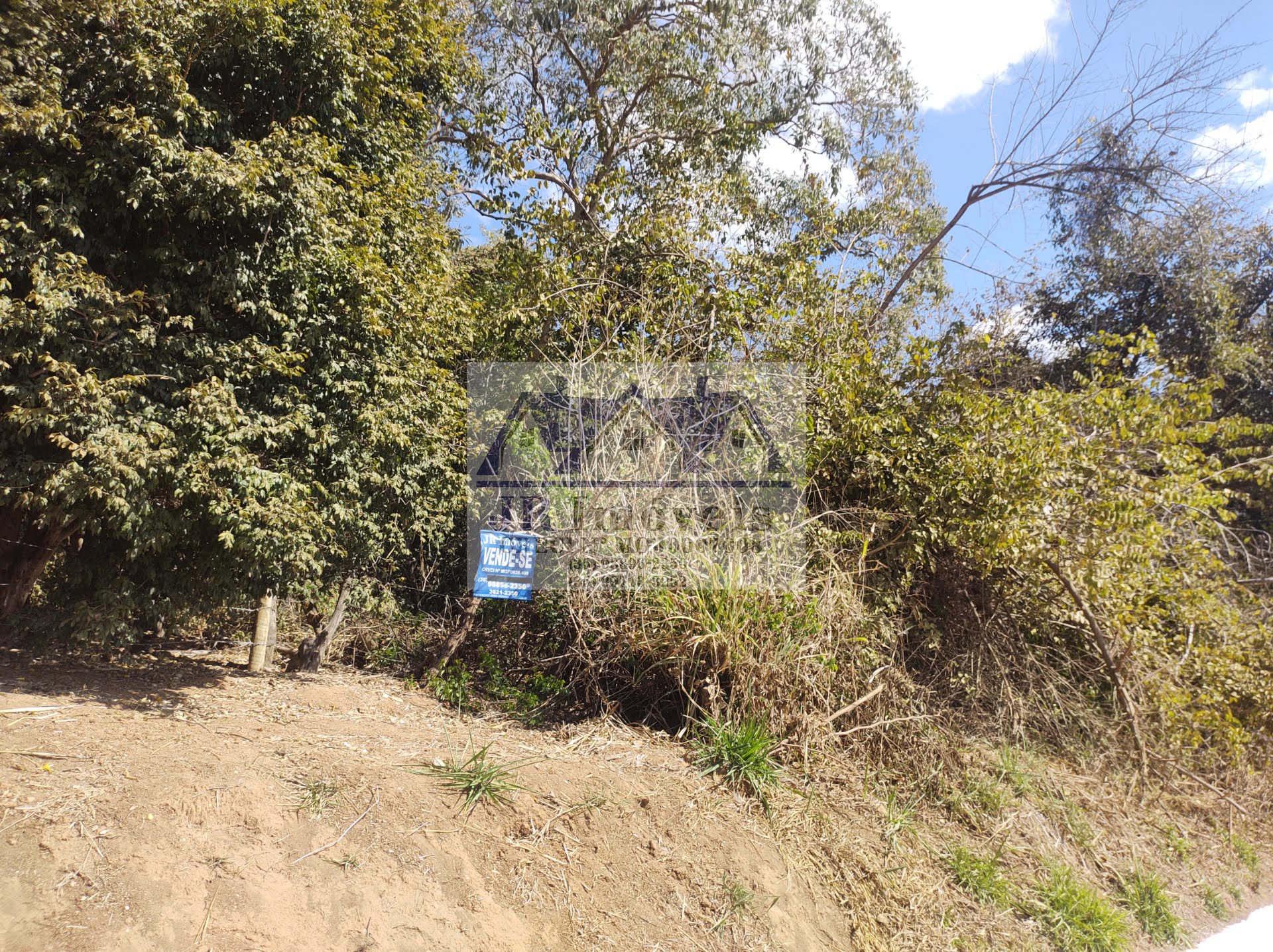 Terreno à venda com 5686m² de terreno no Santa Barbara, Piranguinho (MG) — foto 6 de 17