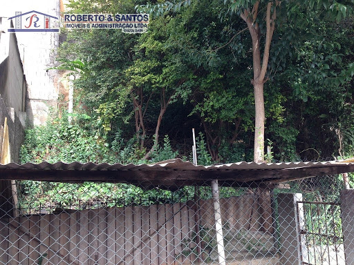Área com arvores pertençe ao terreno