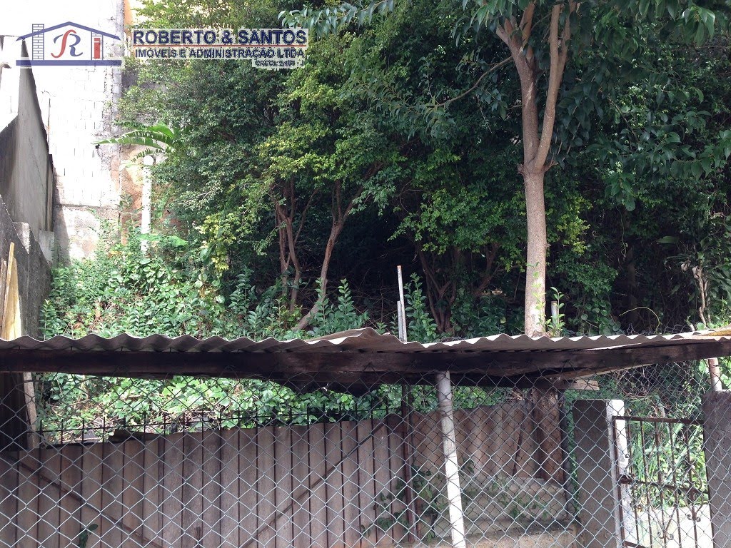Área com arvores pertençe ao terreno