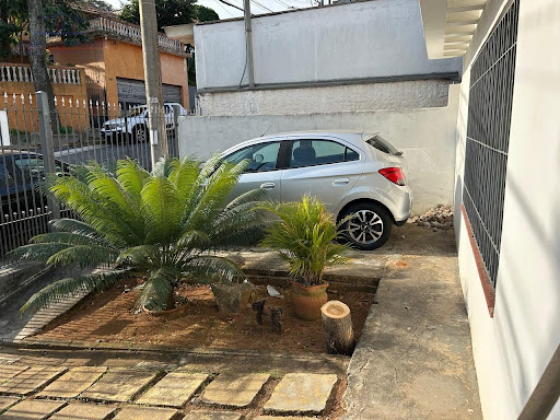 Jardim