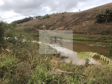 Sítio em Estrada São Diniz  -  Cataguases