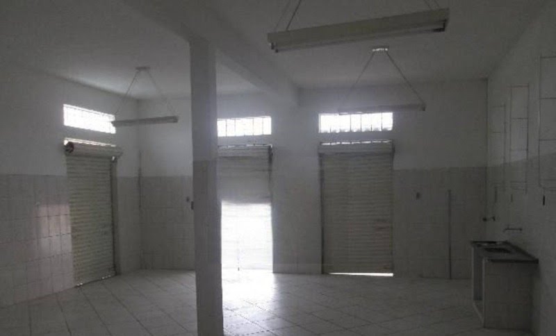 Foto 02