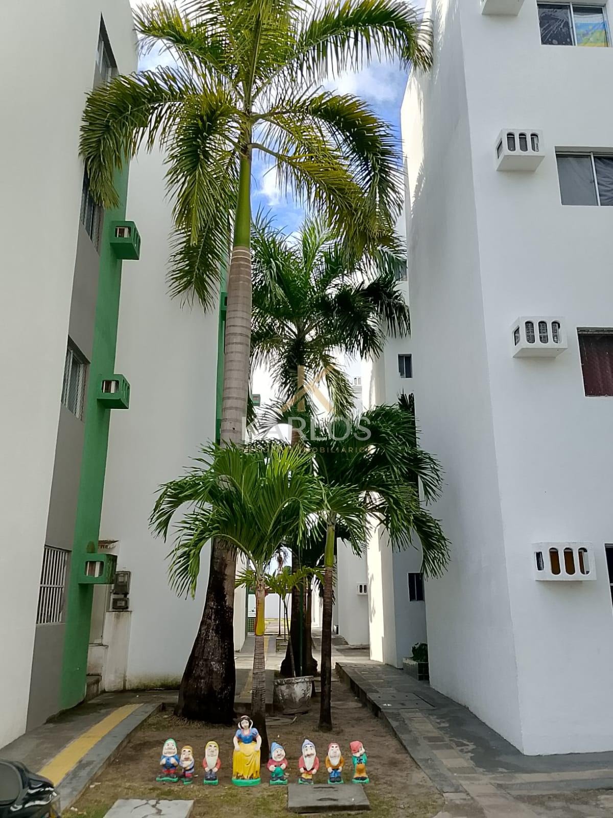 Apartamento à venda com 2 quartos, 1 banheiro, 1 vaga e 49m² no Pau Amarelo, Paulista (PE) — foto 10 de 23