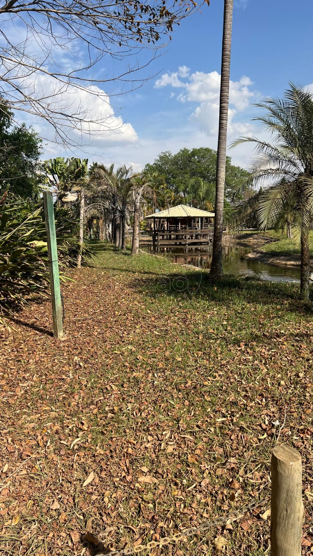 Fazenda, 1001 hectares - Foto 4
