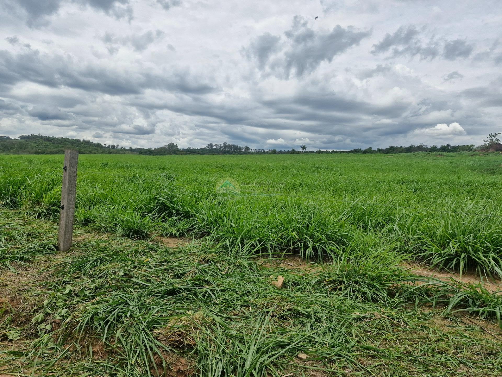 Fazenda a venda em Itobi SP