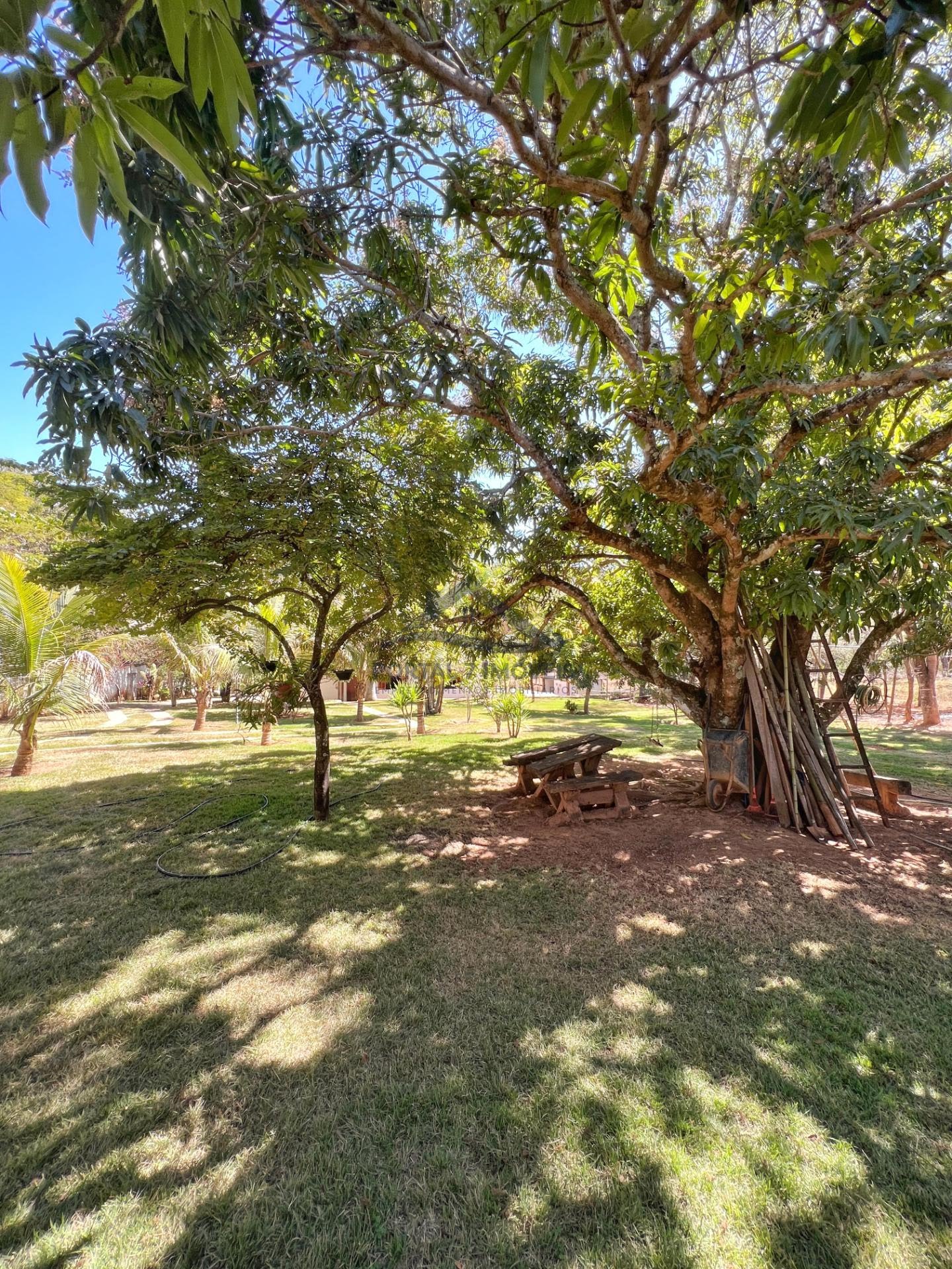 Rural à venda com 2800m² de terreno no Área Rural, Baldim (MG) — foto 19 de 30