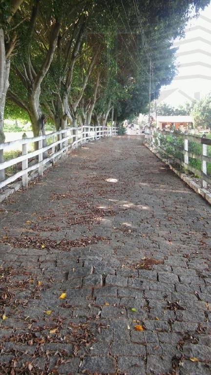Entrada