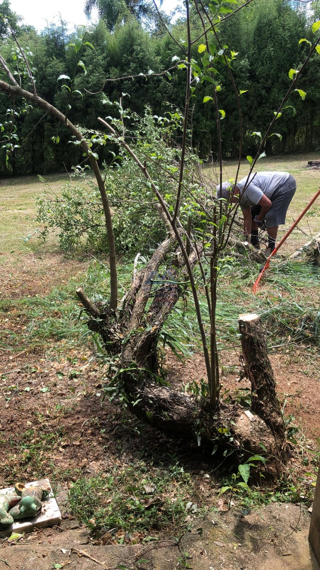 Rural à venda com 1800m² de terreno no Sorocabuçu, Ibiúna (SP) — foto 15 de 30