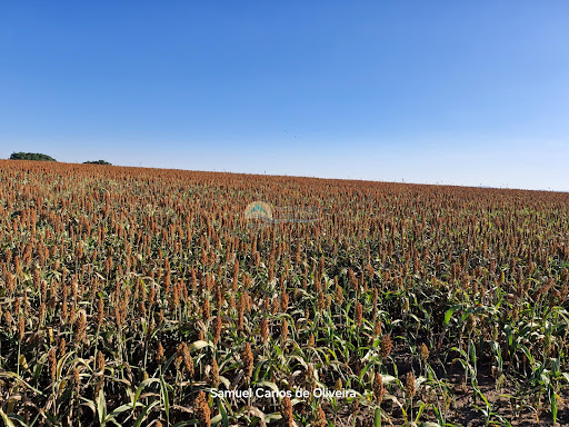 fazenda a venda em casa branca
