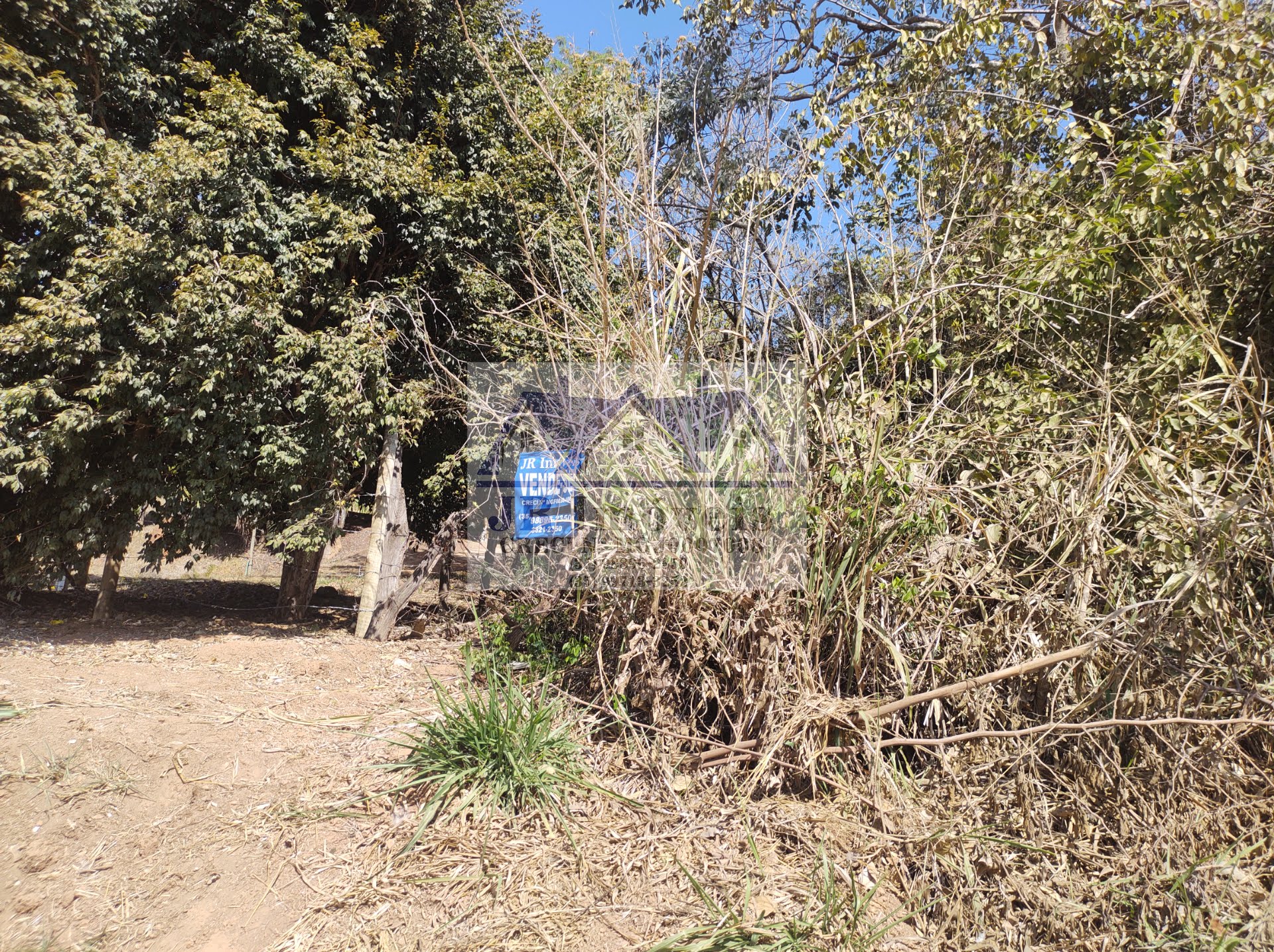 Terreno à venda com 5686m² de terreno no Santa Barbara, Piranguinho (MG) — foto 12 de 17