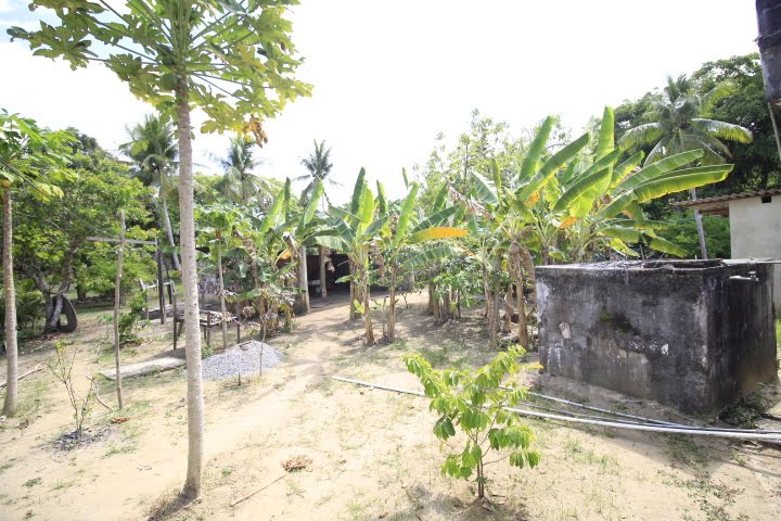 Rural à venda com 25000m² de terreno no Tabuleiro, Igarassu (PE) — foto 18 de 30