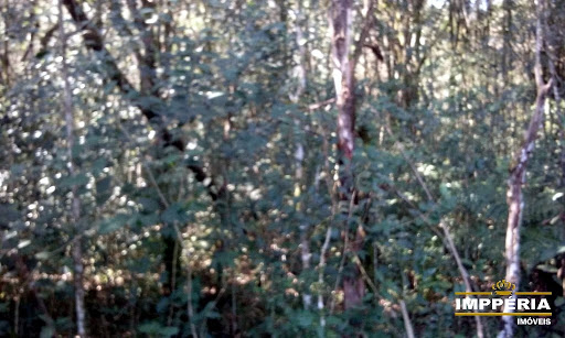 Foto 06