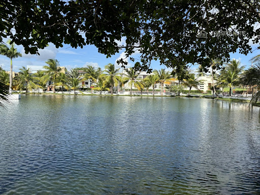 IMG_8622.jpeg