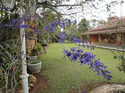 Jardim