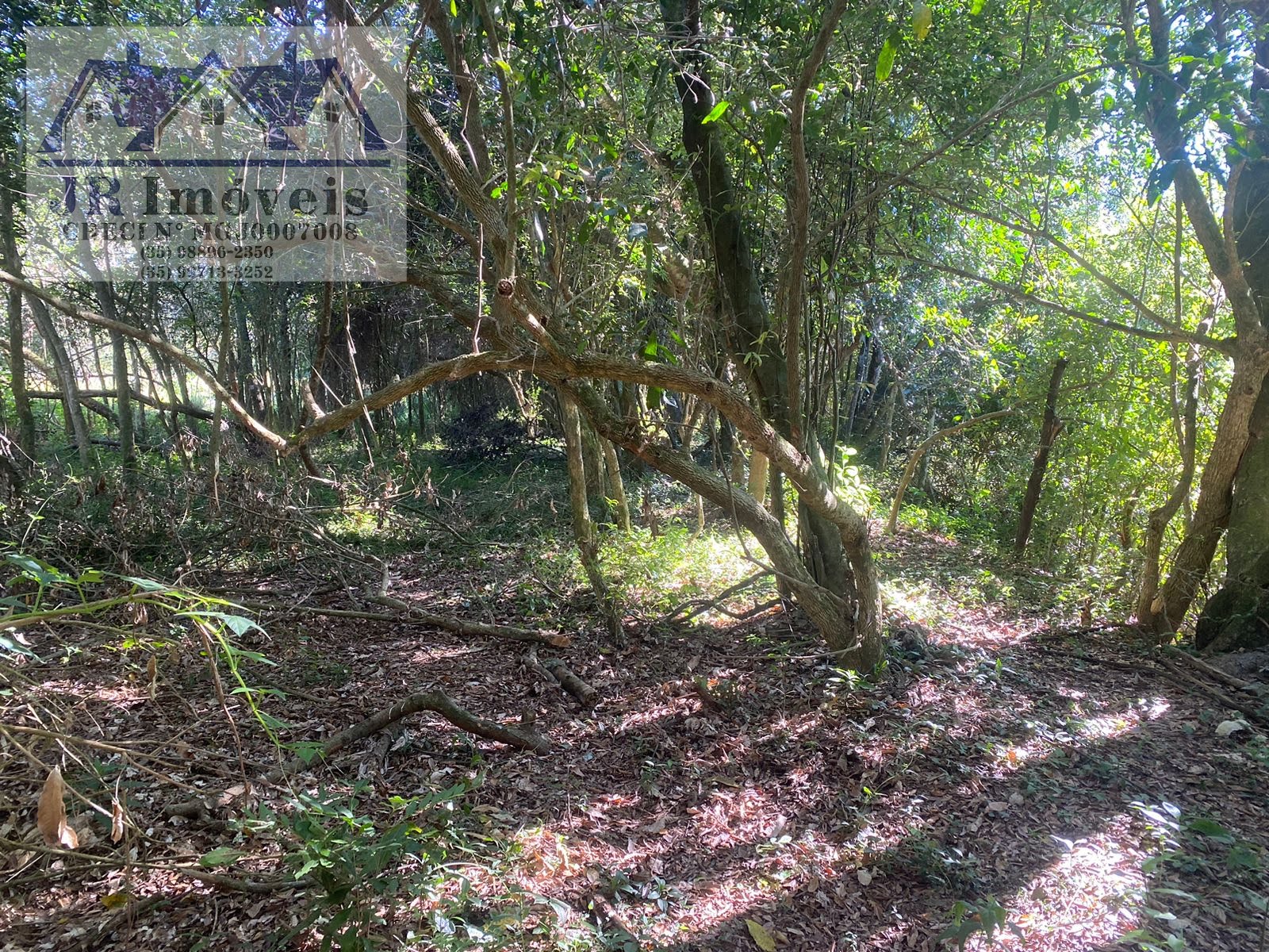 Terreno à venda com 21840m² de terreno no Grota, Itajubá (MG) — foto 4 de 23