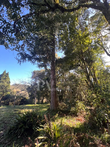 Terreno Amplo – Bairro Lençol, São Bento do Sul, SC