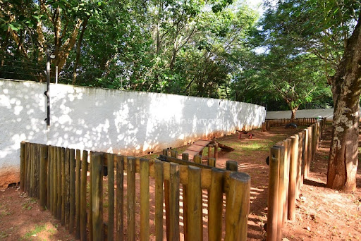 Casa de Condomínio, 3 quartos - Foto 28