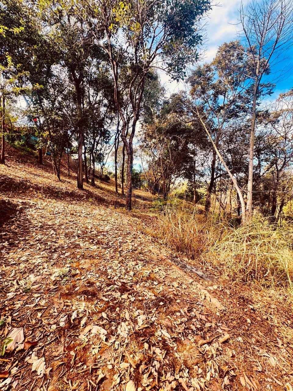 Rural à venda com 7000m² de terreno no Andiroba, Esmeraldas (MG) — foto 15 de 26