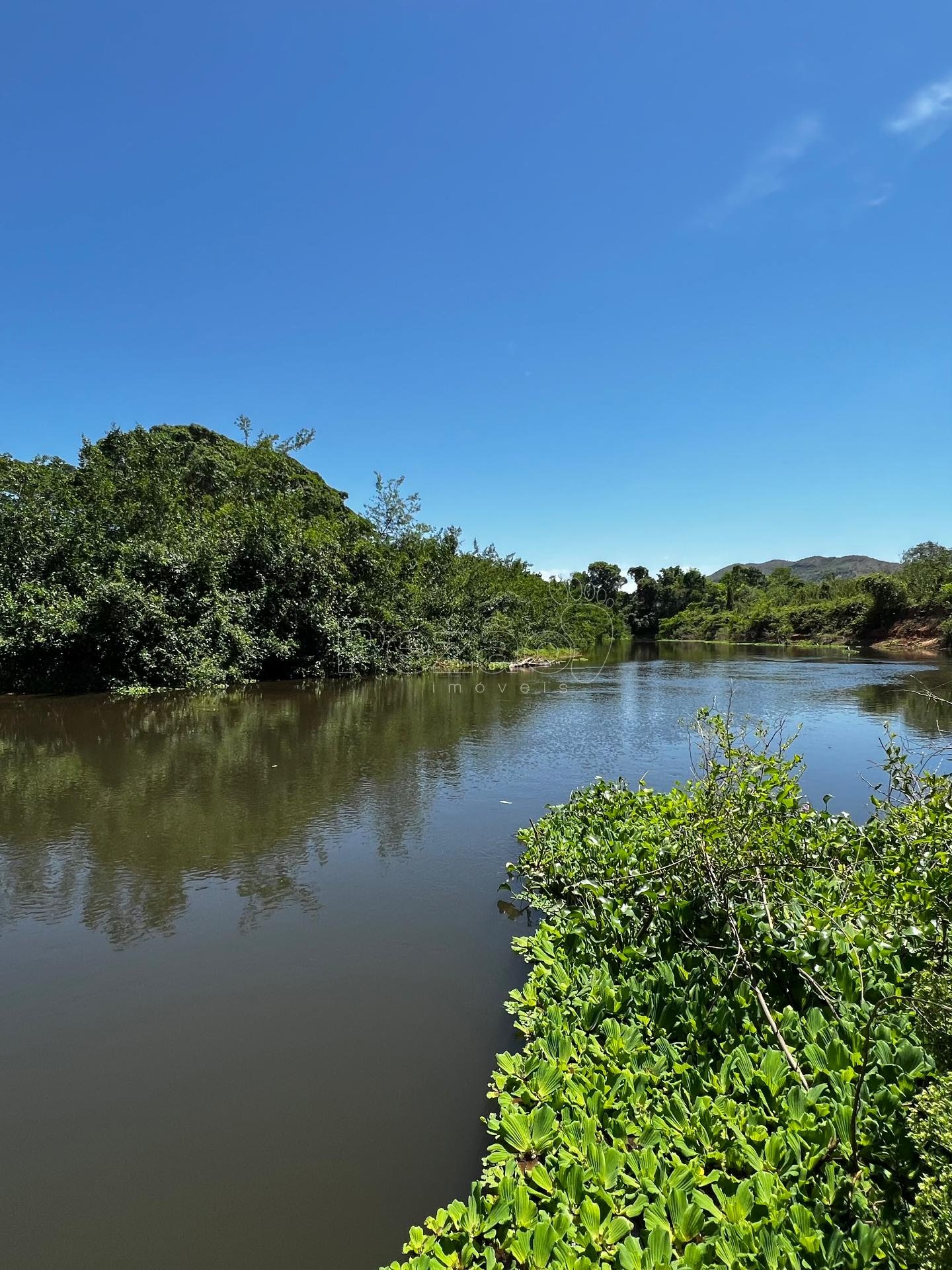 Rural à venda com 8215m² de terreno no Zona Rural de Heitoraí, Heitoraí (GO) — foto 8 de 18