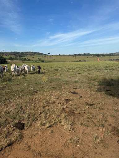 Sítio a 10 km de Juína